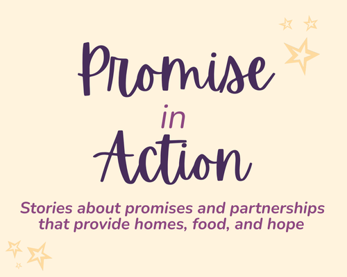 Promise in Action3