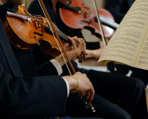 Orchestra